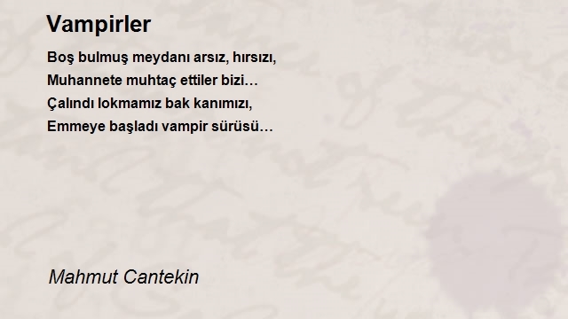 Mahmut Cantekin