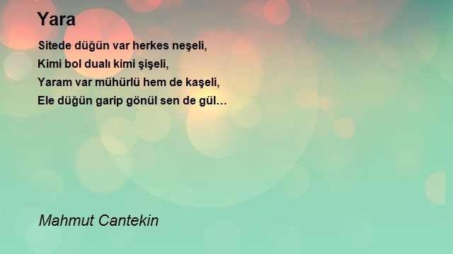 Mahmut Cantekin