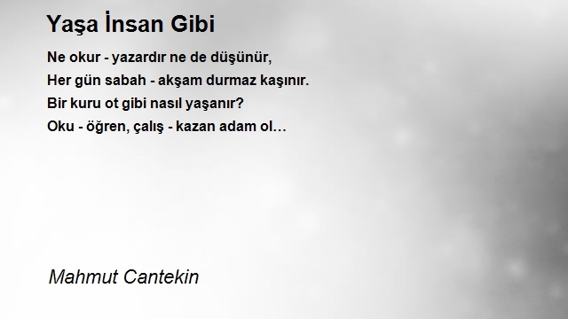 Mahmut Cantekin