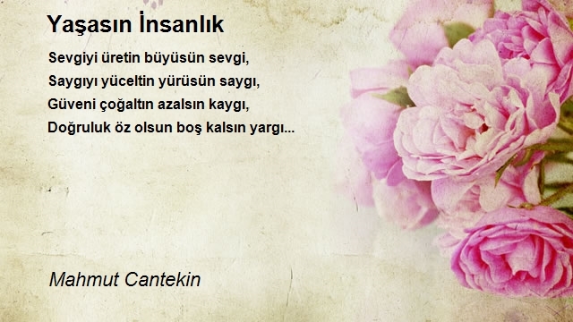 Mahmut Cantekin