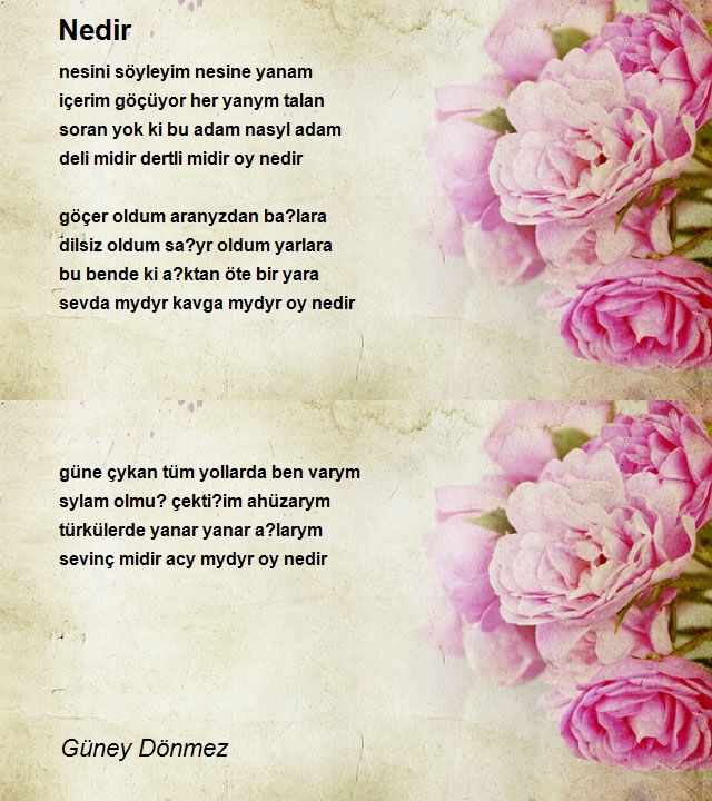 Güney Dönmez