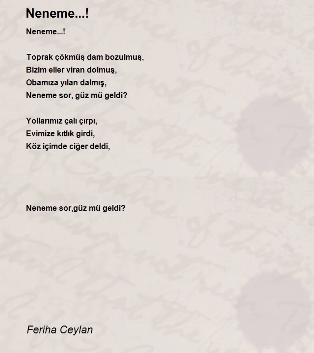 Feriha Ceylan