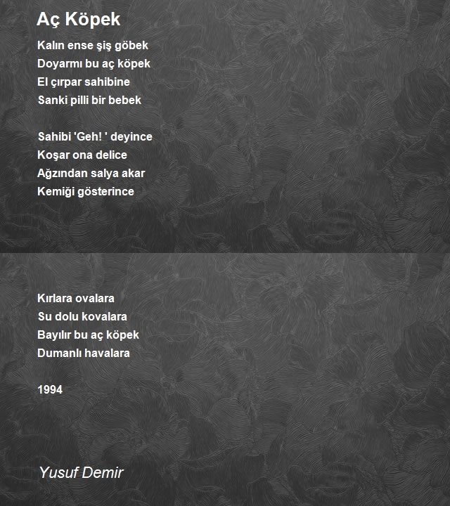 Yusuf Demir