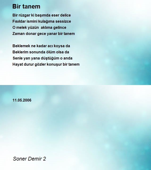 Soner Demir 2