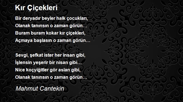 Mahmut Cantekin