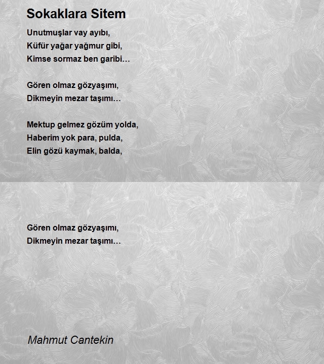 Mahmut Cantekin