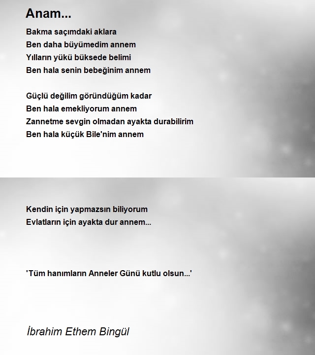 İbrahim Ethem Bingül