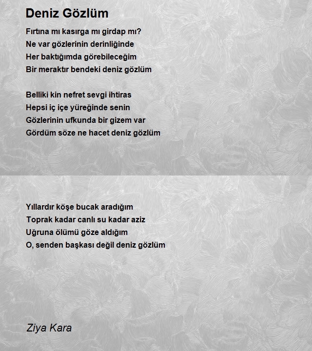 Ziya Kara