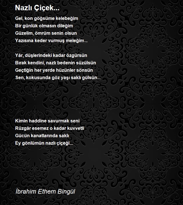 İbrahim Ethem Bingül