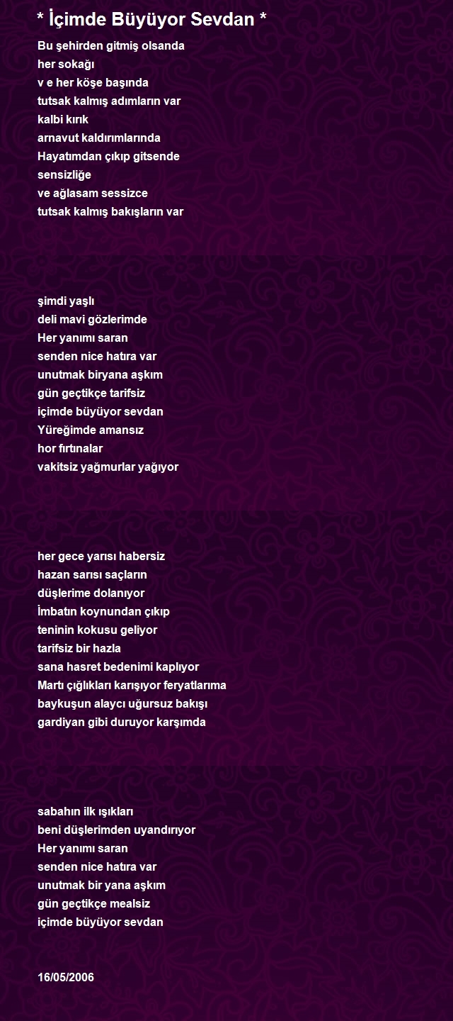 İbrahim Dikmen 2