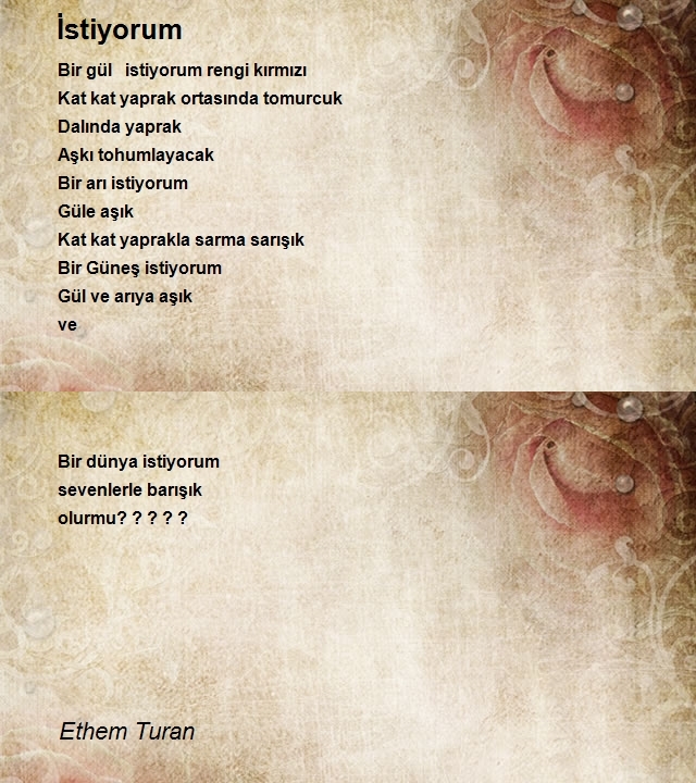 Ethem Turan