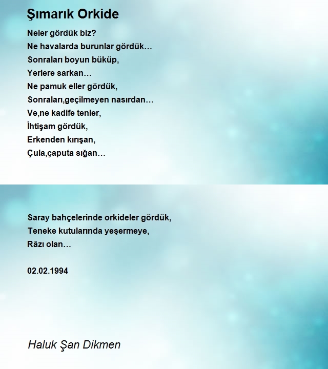 Haluk Şan Dikmen