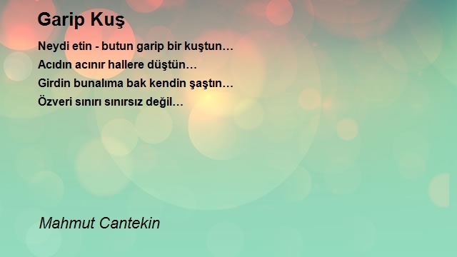 Mahmut Cantekin