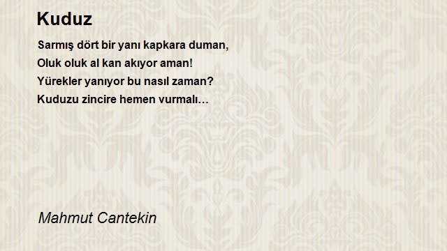 Mahmut Cantekin