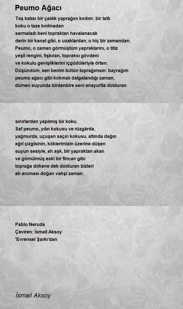 İsmail Aksoy