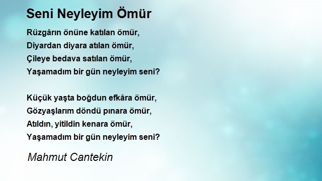 Mahmut Cantekin