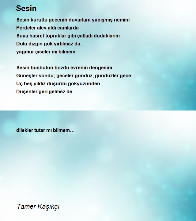 Tamer Kaşıkçı