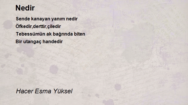 Hacer Esma Yüksel