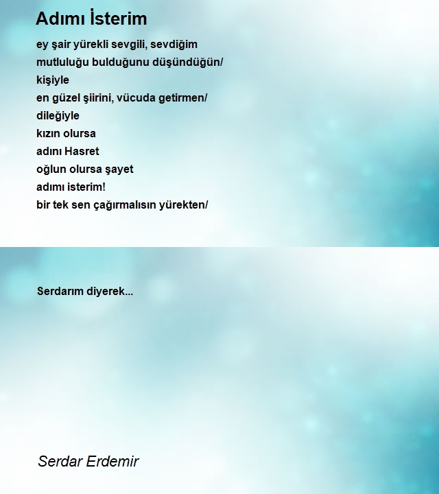 Serdar Erdemir