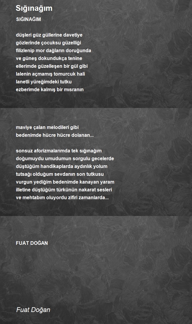 Fuat Doğan