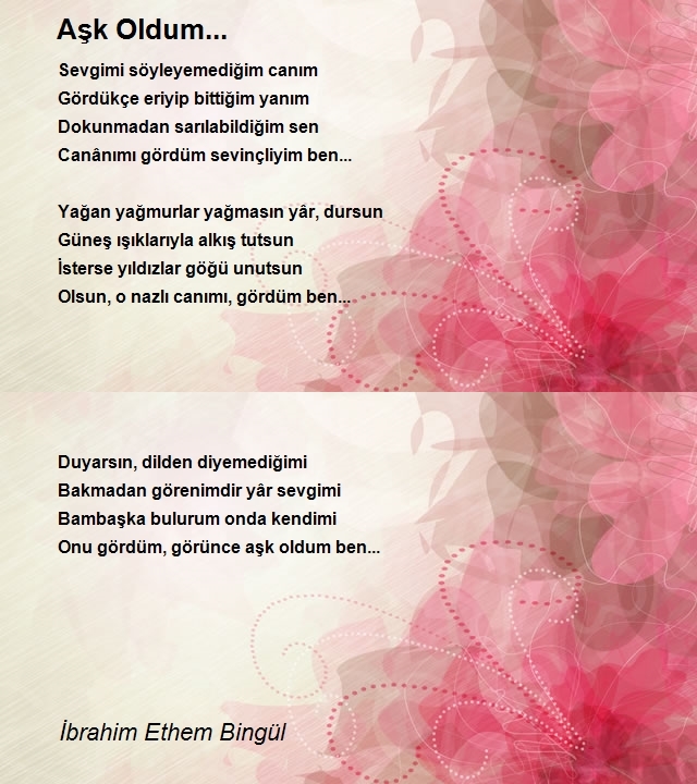 İbrahim Ethem Bingül