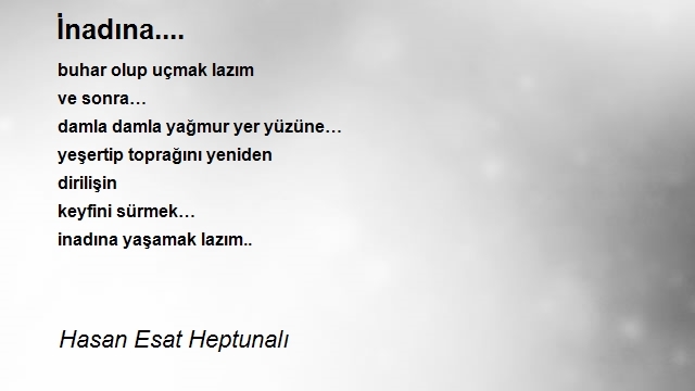 Hasan Esat Heptunalı