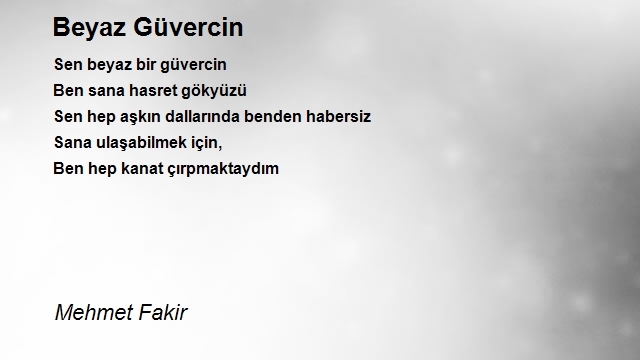 Mehmet Fakir