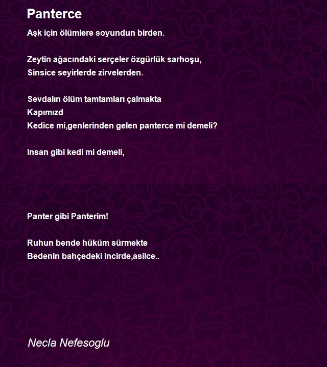 Necla Nefesoglu