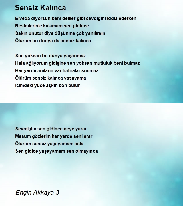 Engin Akkaya 3