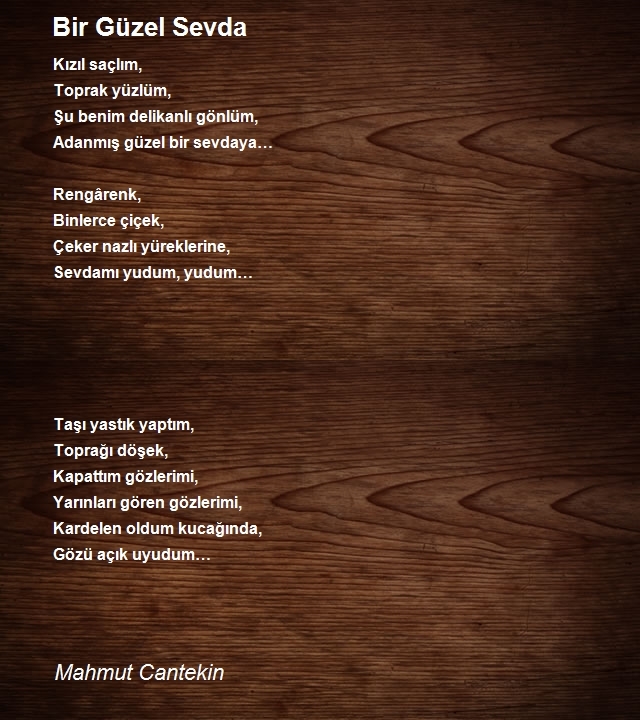 Mahmut Cantekin