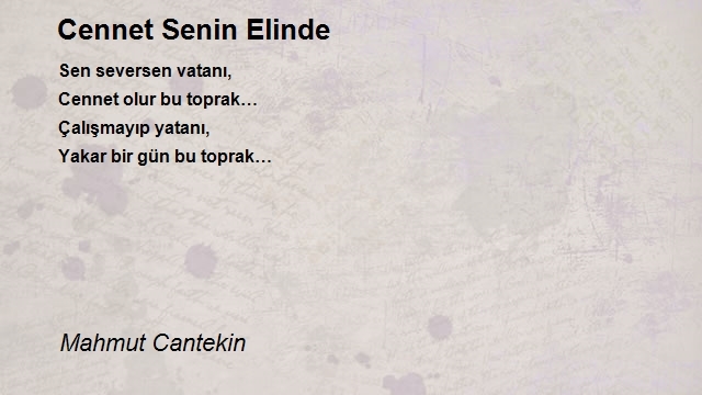 Mahmut Cantekin