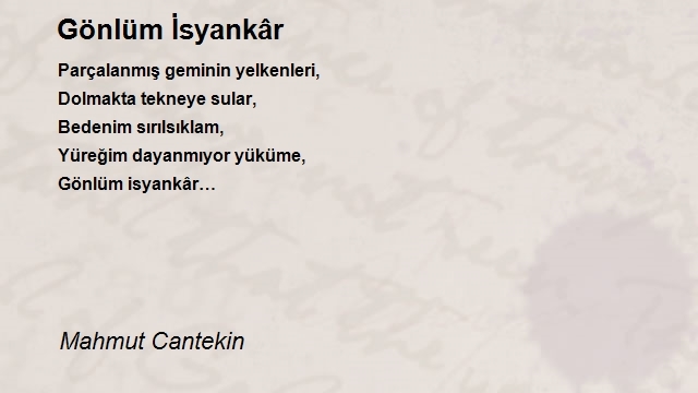 Mahmut Cantekin