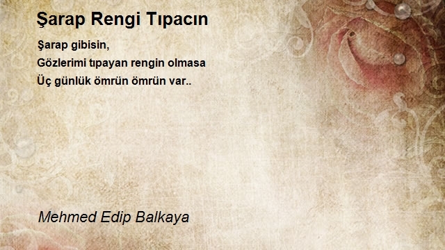 Mehmed Edip Balkaya