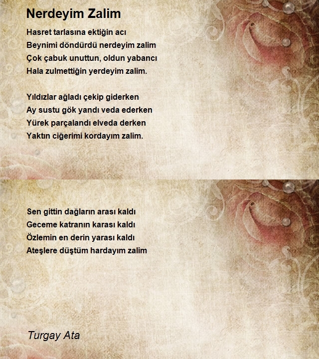 Turgay Ata