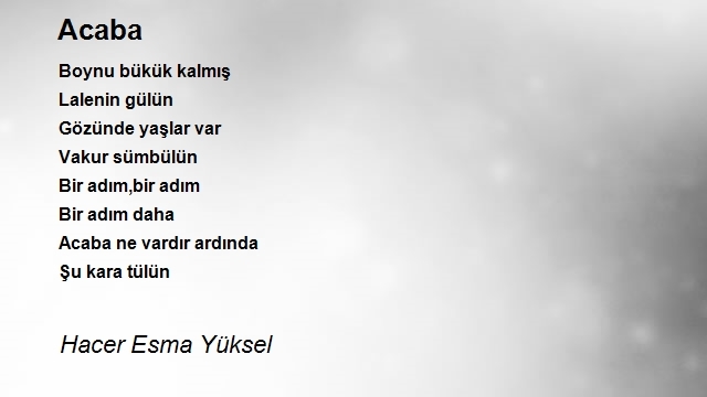 Hacer Esma Yüksel