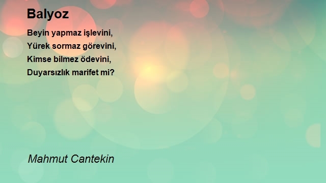 Mahmut Cantekin