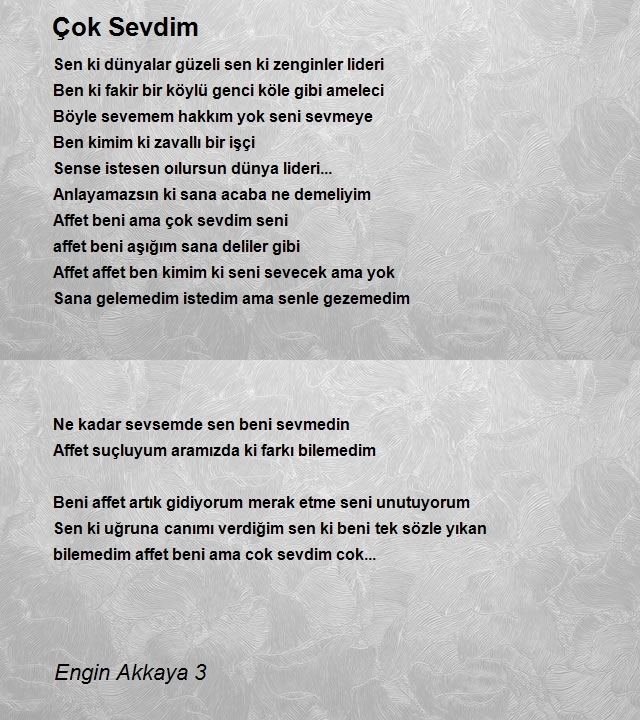 Engin Akkaya 3