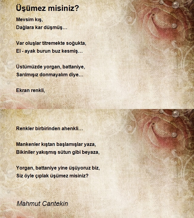 Mahmut Cantekin