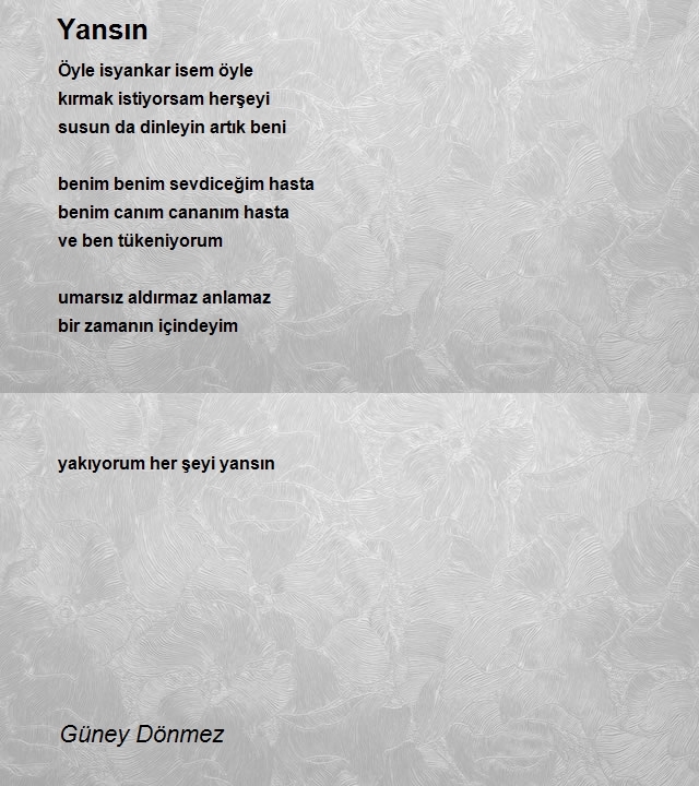 Güney Dönmez