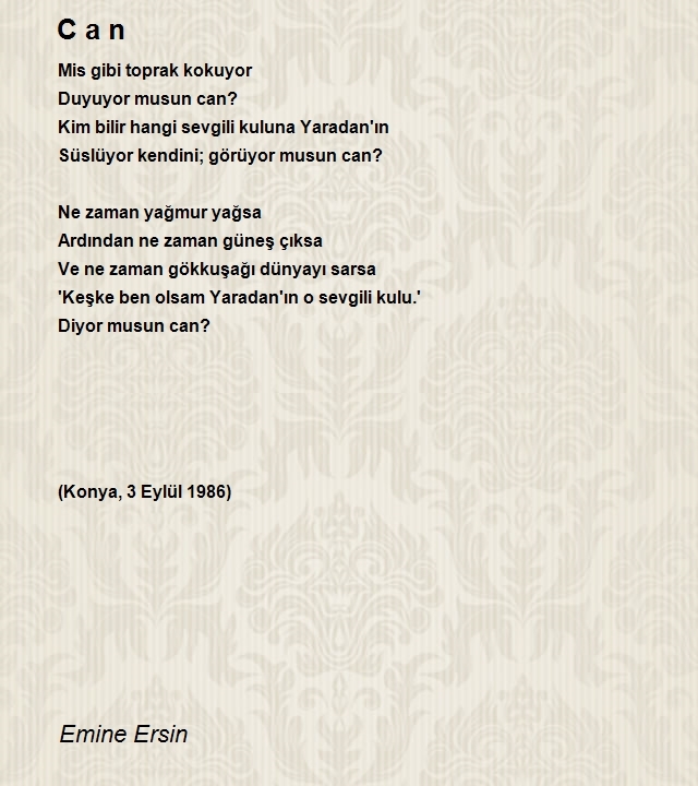 Emine Ersin