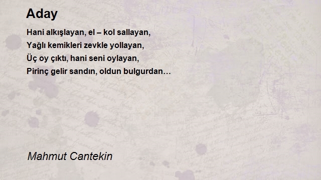 Mahmut Cantekin