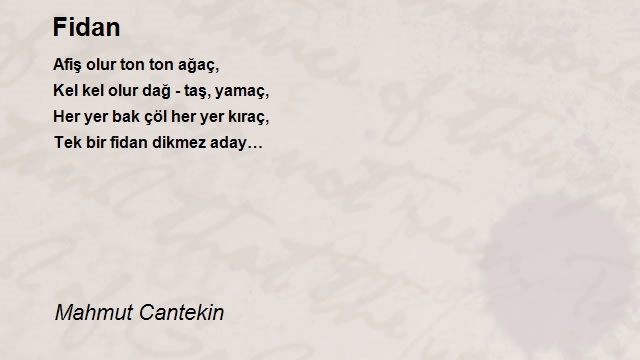 Mahmut Cantekin