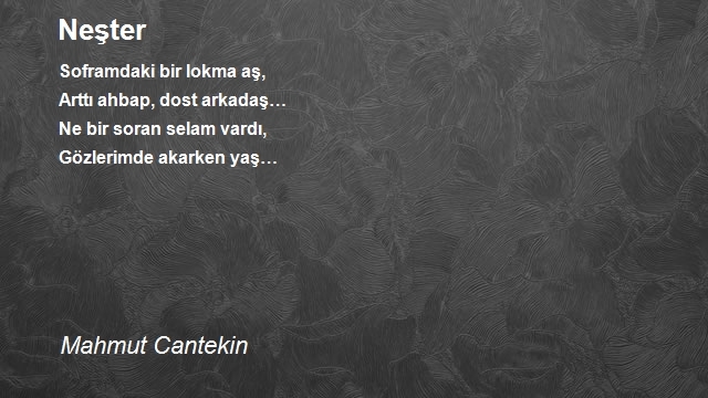 Mahmut Cantekin