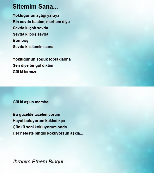 İbrahim Ethem Bingül