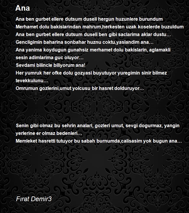 Fırat Demir3