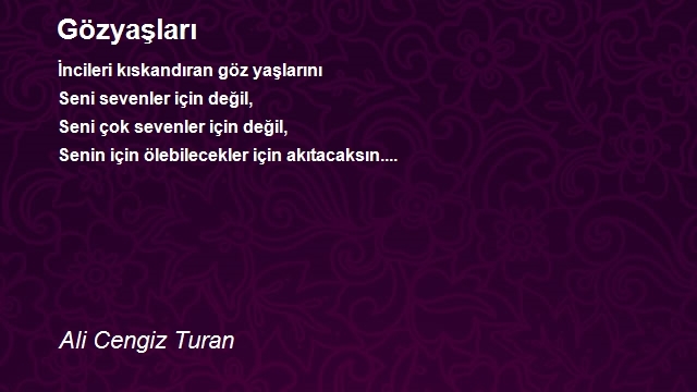 Ali Cengiz Turan