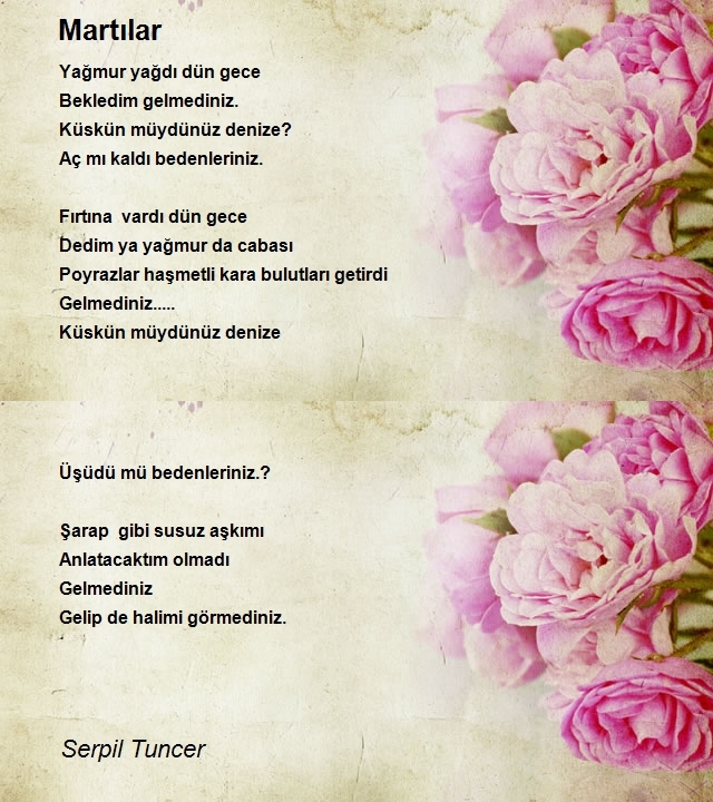 Serpil Tuncer