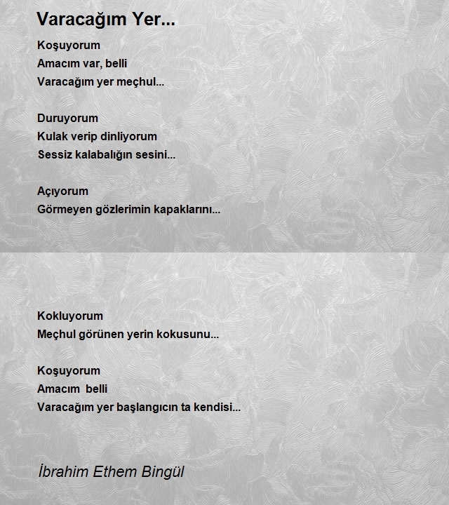 İbrahim Ethem Bingül