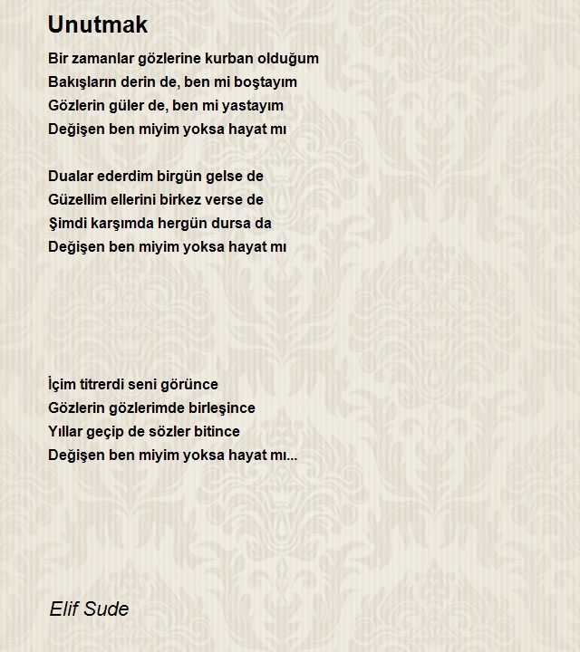 Elif Sude