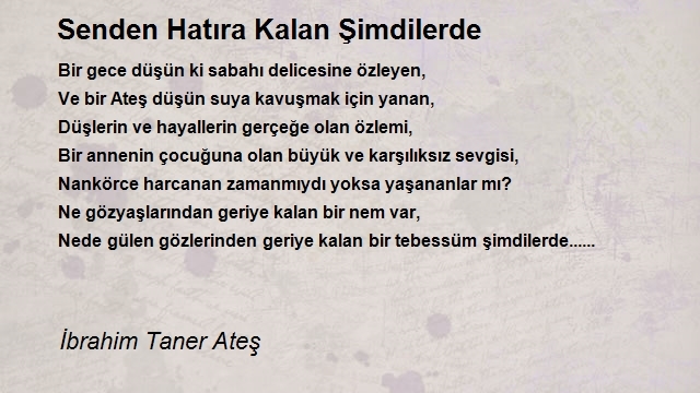 İbrahim Taner Ateş